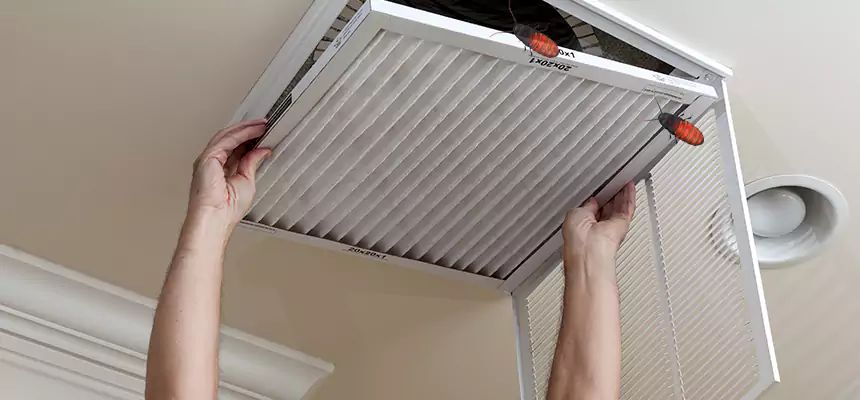 Preventive Cockroach-Proofing for Ducts in Stockton
