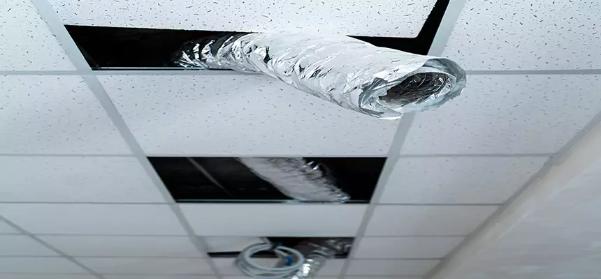 Our Air Duct Pet Hair Removal Services in Stockton, CA