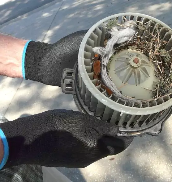 About Air Duct Mice Removal in Stockton, CA