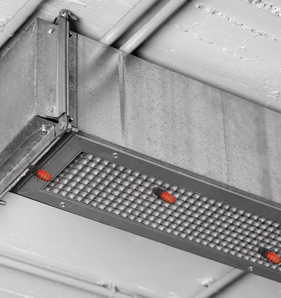 Affordable Insect Removal from Air Ducts in Stockton, CA