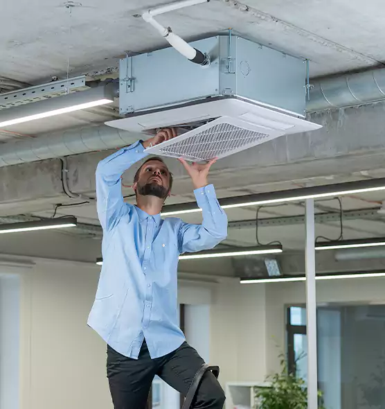 Advanced Rodent Droppings In Vents in Stockton, CA