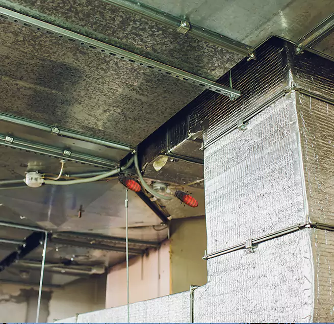 Why Homeowners & Businesses Trust Us in Stockton, CA?