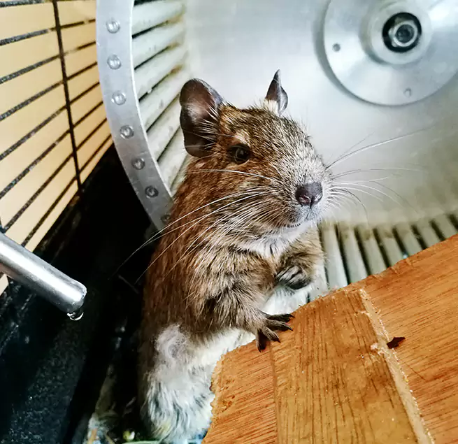 Why Homeowners & Businesses Trust Us Stockton, CA