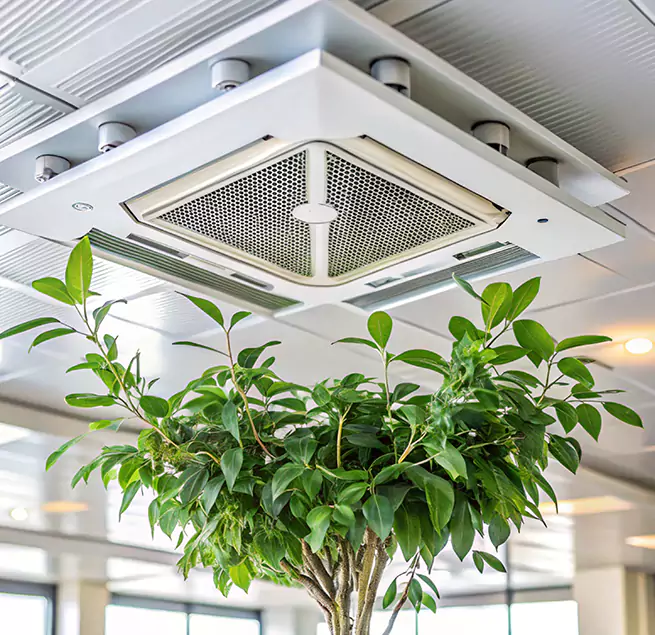 Why Homeowners & Businesses Trust Us in Stockton, CA?